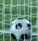 Pallone-e1324491402669-410x275131