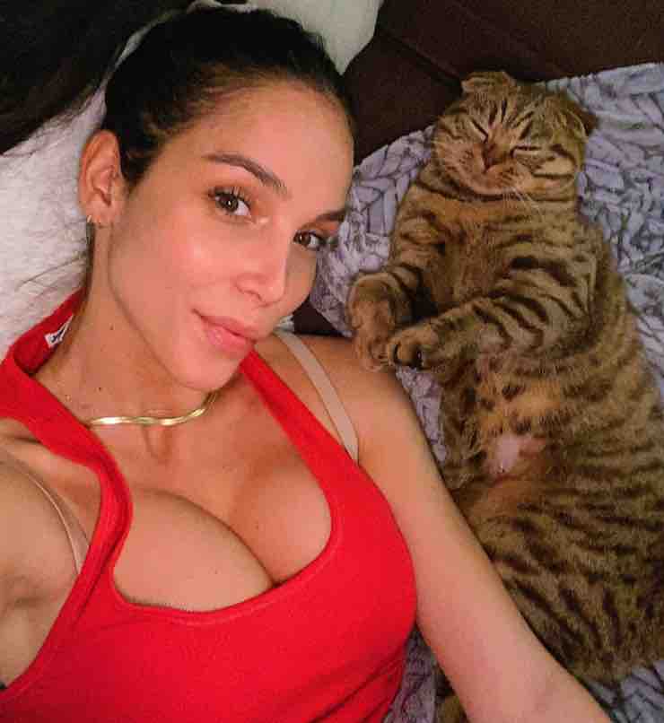 curve Paola Di Benedetto