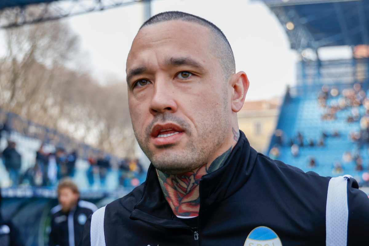 Nainggolan in Serie A